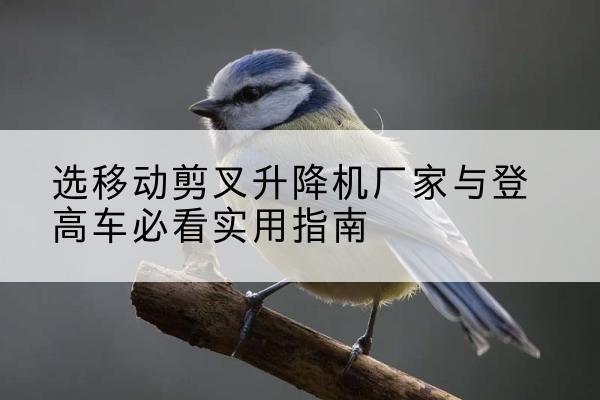 绵阳电动升降机厂家-选移动剪叉升降机厂家与登高车必看实用指南