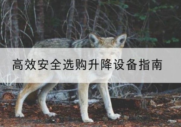 绵阳升降货梯厂家推荐-*安全选购升降设备指南